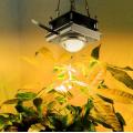 led grow full spectrum 200W led grow plants