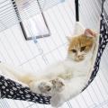 Hanging Cat Hammock Pet Supplies Cat Sleeping Bag Breathable Cage Double Sided Available Hot Cat Bed Mat