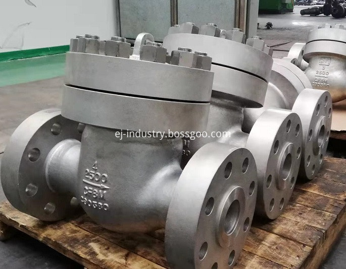 Ss Check Valve
