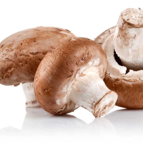 Best Quality Natural Shiitake Mushroom Extract 50% Lentinan for Sale, Offer Best Quality Natural Shiitake Mushroom Extract 50% Lentinan