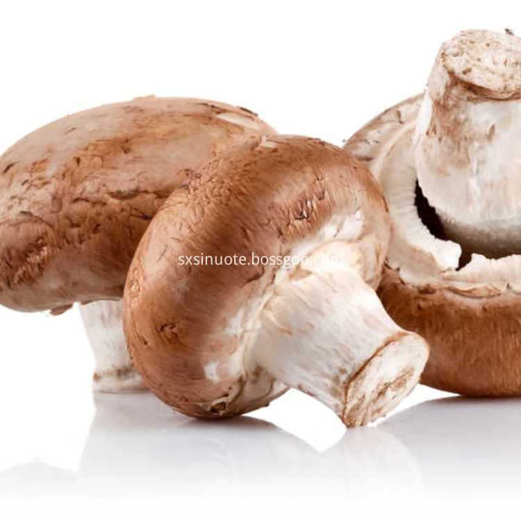 Shiitake Mushroom Extract