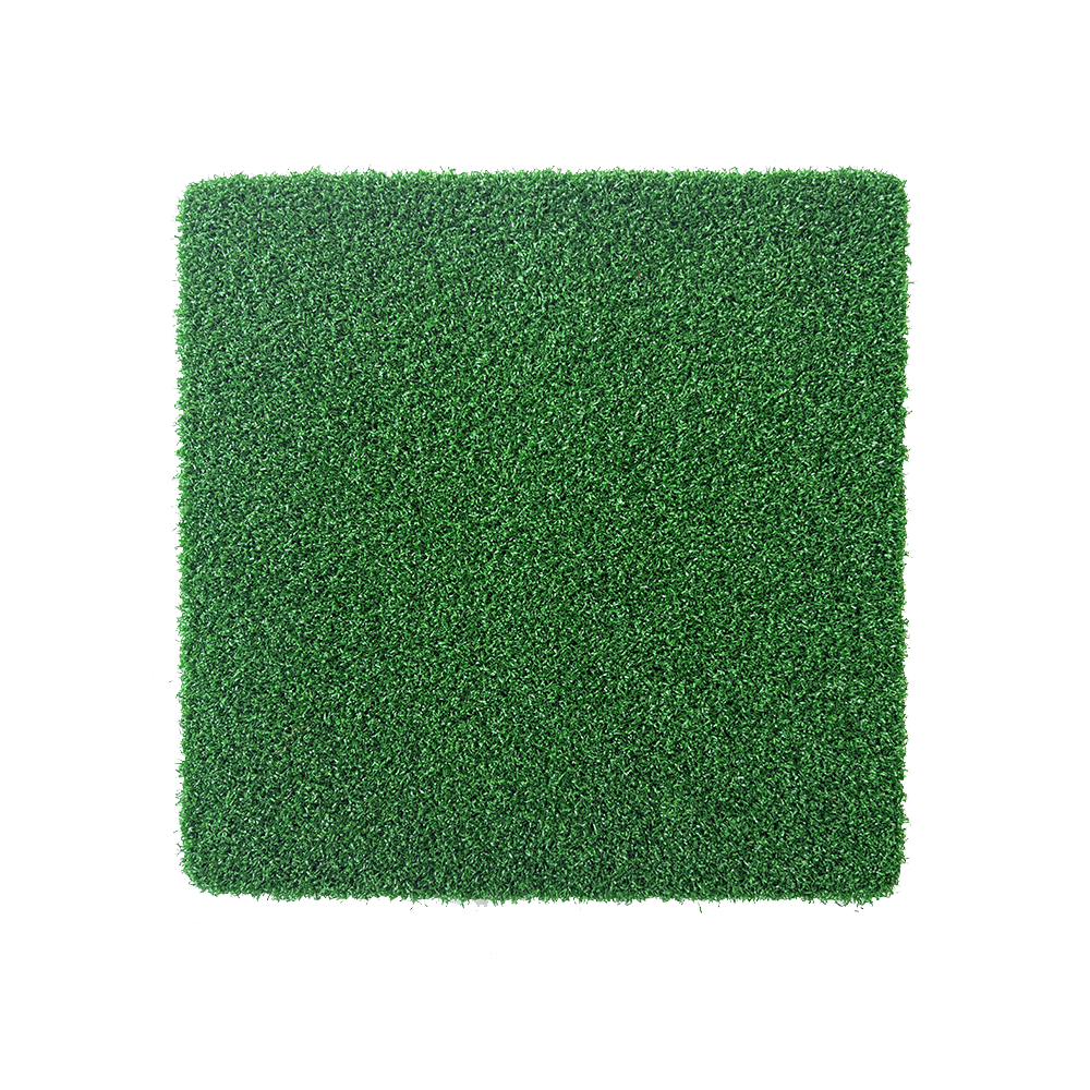 Gym grass