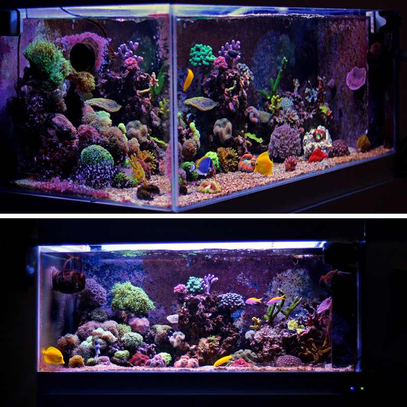 32CM RGB Aquarium Light LED Fish Tank Light DC12V 12W Aquariums Decor LED Lighting Extendable Aquatic Plant Lamp EU/US/AU PLUG