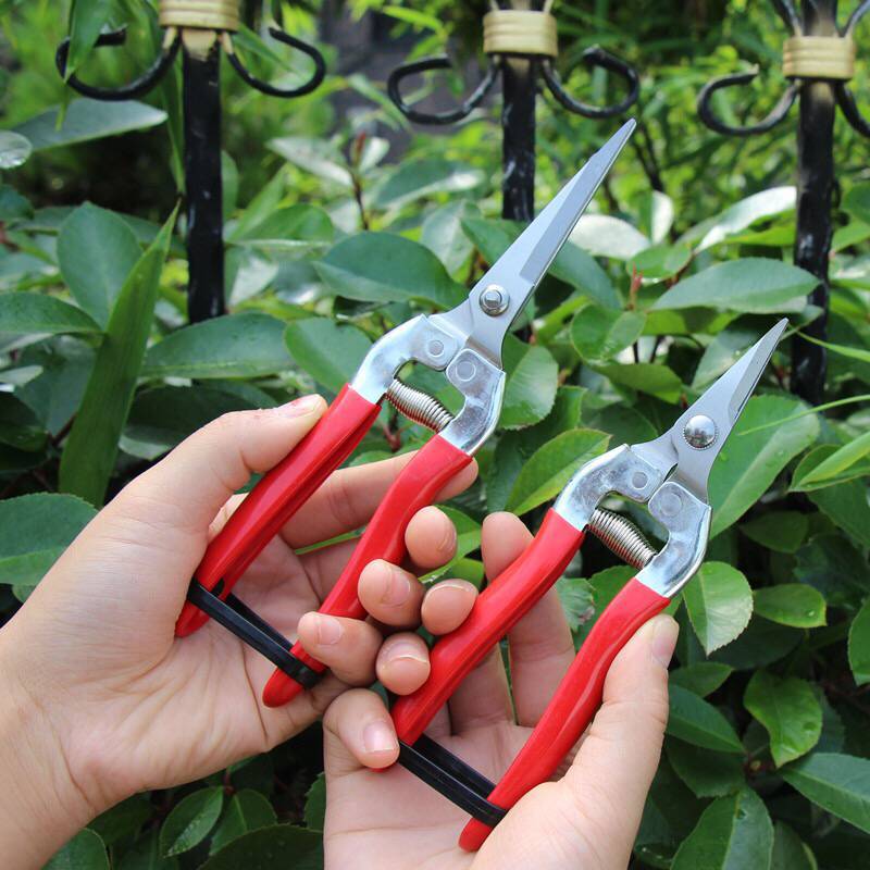Steel Anvil Garden Pruning Shears Grass Cutter Fruit Picking Scissors Gardening Branch Pruners Secateur Gardening Bonsai Tools