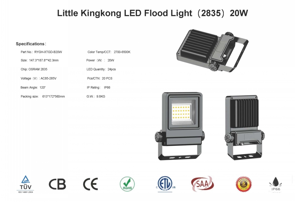 led flood light specifications-RYGH-20212