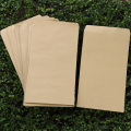 50Pcs Kraft Paper Storage Bags Vegetables Crops Seeds Organizer Sacks Waterproof Protect Packets Reusable Store Container Pouch
