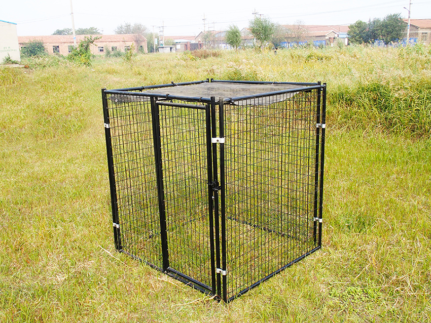 dog kennel for sale dog kennel for sale