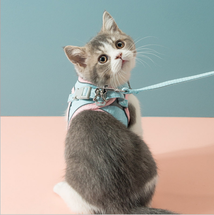 Petco Cat Harness