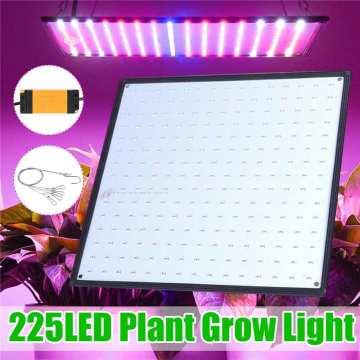 1000W Growth Lamp For Plants LED Grow Light Full Spectrum Phyto Lamp Fitolampy Indoor Herbs Light For Greenhouse Led Grow Tent