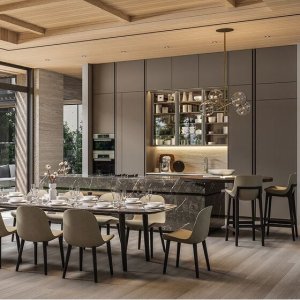 Residential high-end open kitchen set