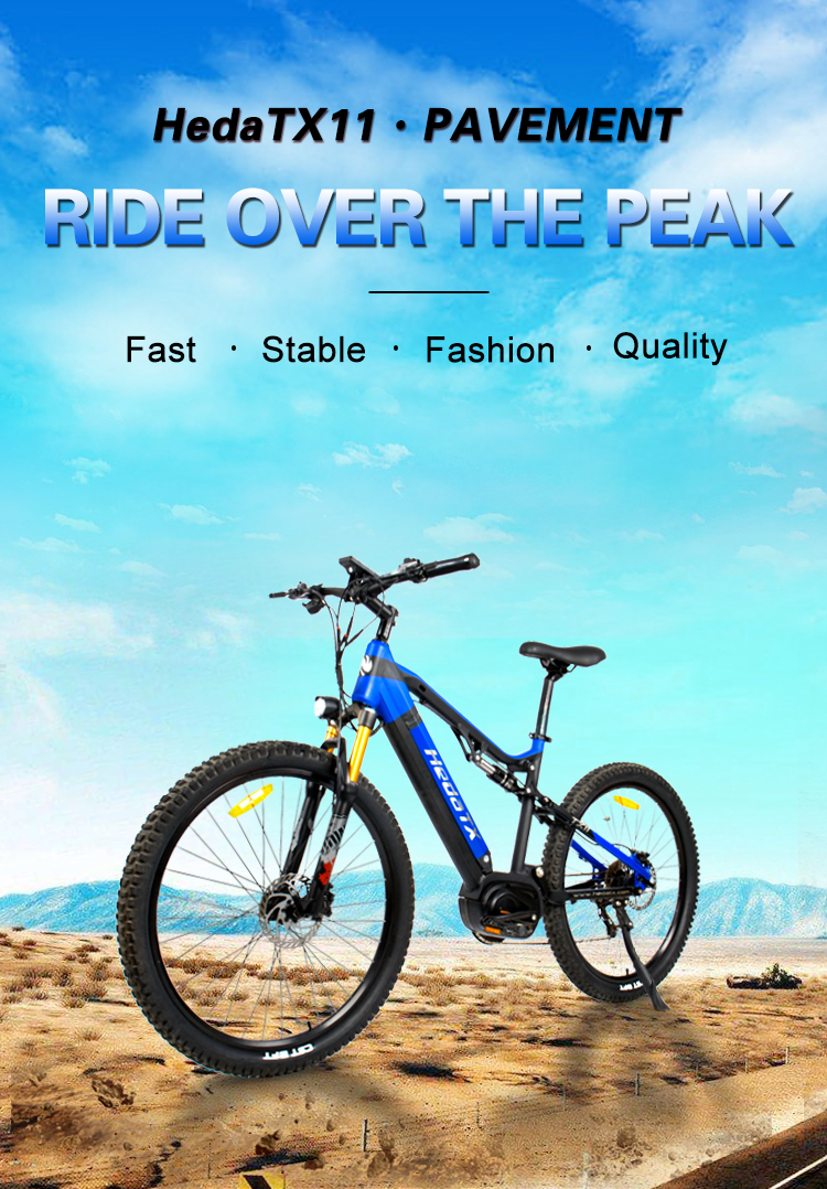 Mountain Electric Bike