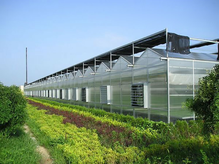 Venlo Multi Span Pc Board Agricultural Greenhouse