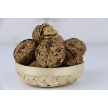 Bulk Unwashed In-Shell Walnuts for Snacking