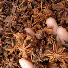 Chinese fennel octagonal condiment star anise