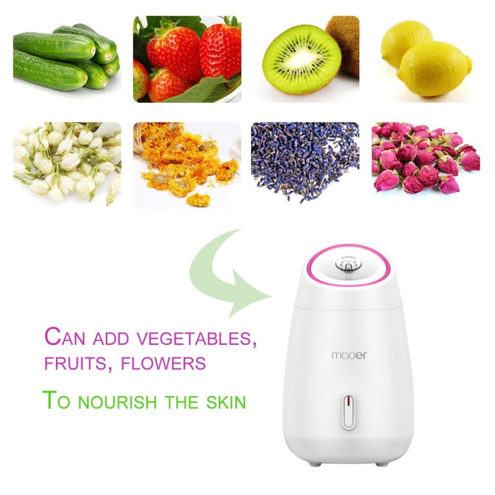 Fruit Facial Steamer Hot Mist Steam Sprayer SPA Moisturizing Face Thermal Sprayer Humidifier Deep Cleansing Beauty