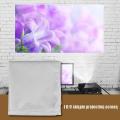 hologram 60-120 Inch Portable White Color Projector Curtain Projection Screen 16:9 pantalla proyector electrica Curtain