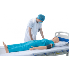 Vital Signs & Trauma Evaluation Nursing Manikin