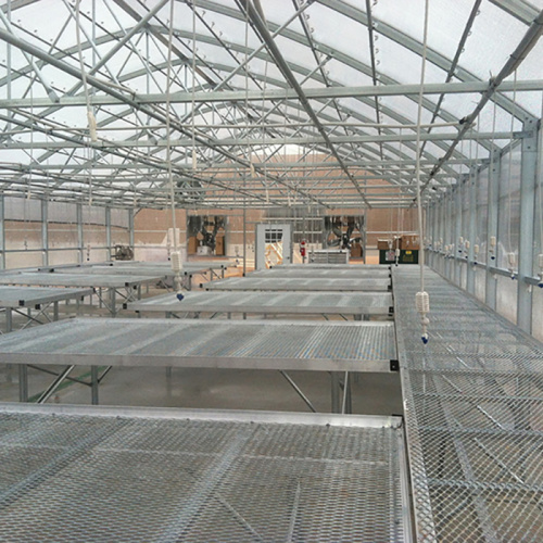 Fixed Top Greenhouse Bench Manufacturers and Fixed Top Greenhouse Bench Suppliers