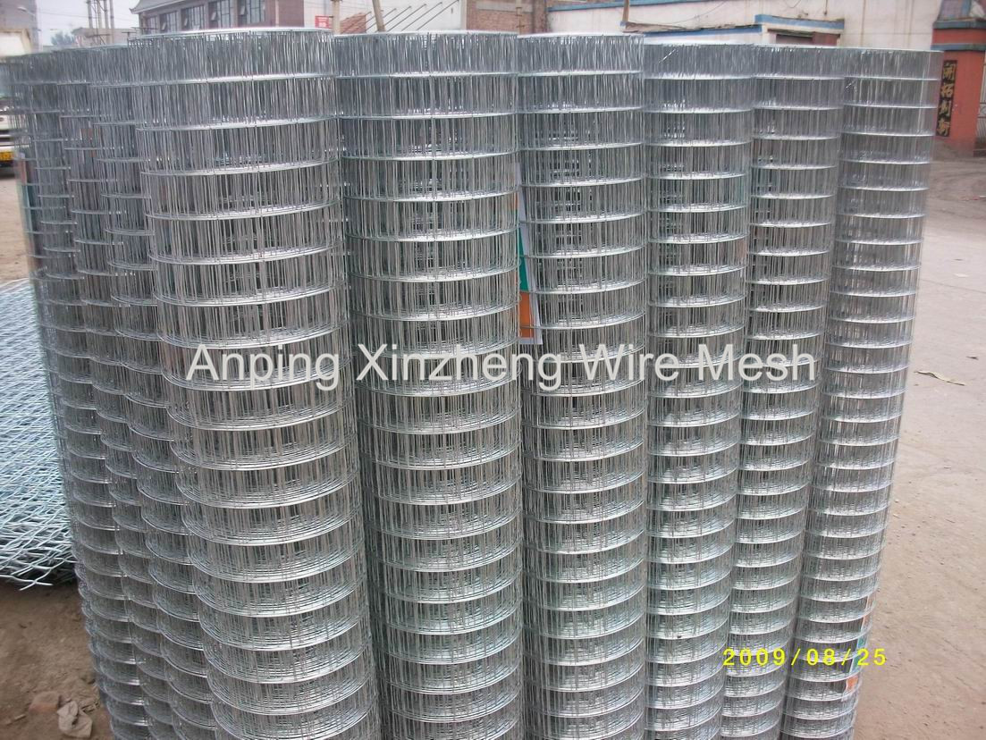 GI Wire Mesh