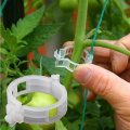 Cute 50Pcs Set Reusable Plastic Plant Support Plants Hanging Vine Clips Garden Greenhouse Vegetables Tomatoes Clip Plant Support