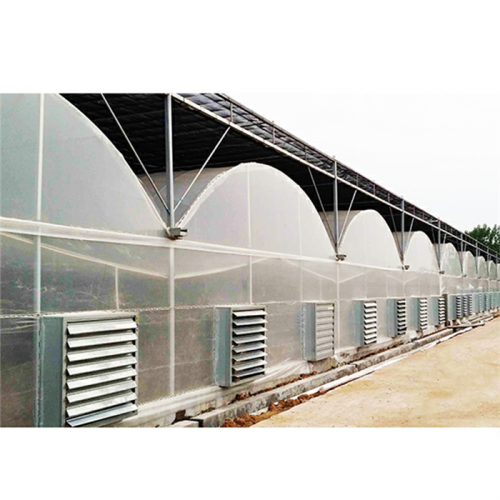 Multi Span Plastic Film Greenhouse For Agriculture Manufacturers and Multi Span Plastic Film Greenhouse For Agriculture Suppliers