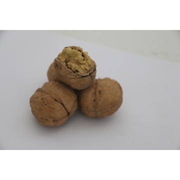 Organic Washed Whole Walnuts for Snacking
