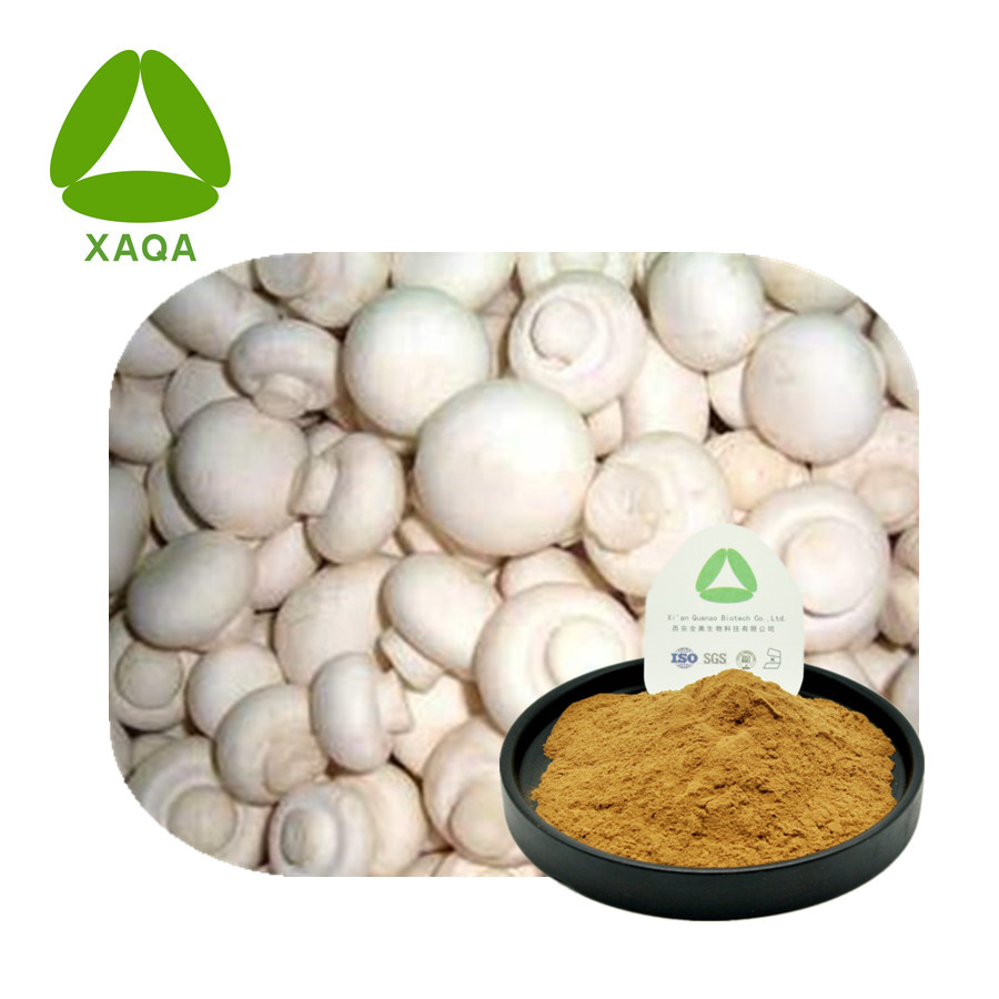 Agaricus Bisporus Extract Jpg