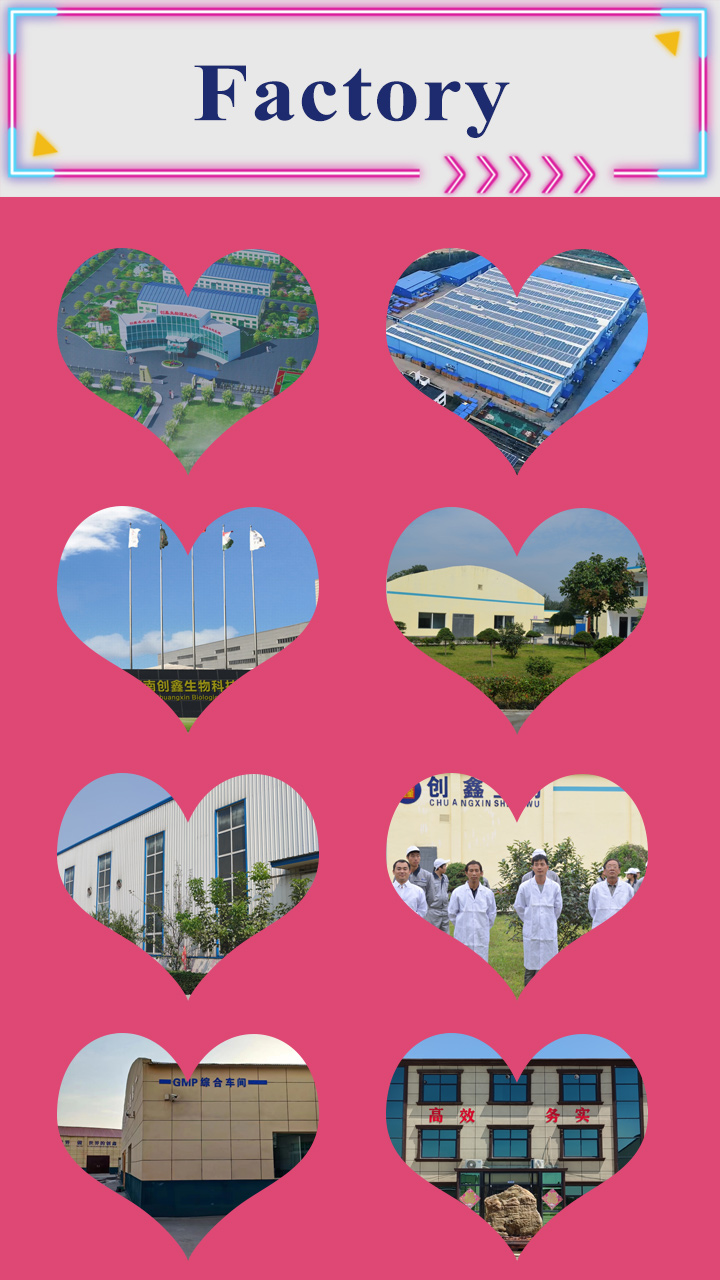 Factory