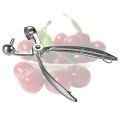 Cherry Olive Pitter Stoner Pits Seed Fruits Remover Core Easy Squeeze Stone
