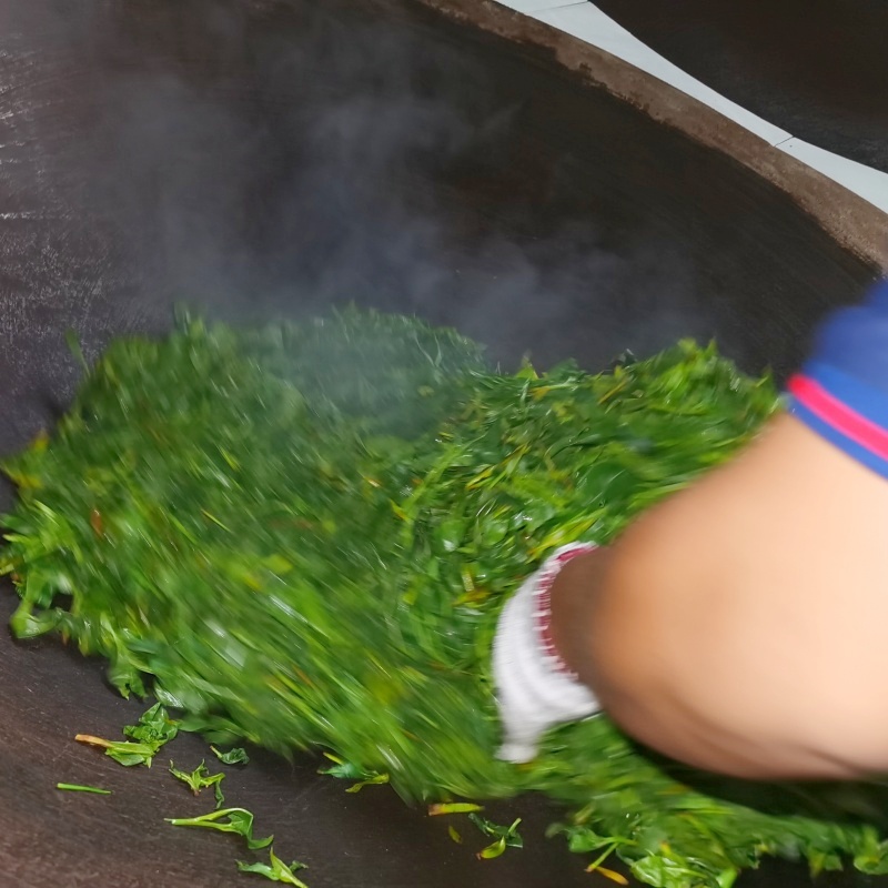 Fresh Leaf Picking