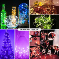 Christmas Tree Decoration USB LED String Light Copper Lamp With Bluetooth APP Control Waterproof Indoor Outdoor Fairy Lights