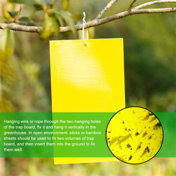 10/20/30 piece Dual-Sided Yellow Sticky Traps for Flying Plant Insect Like Fungus Gnats Flies Trap Catcher Gardening Tools