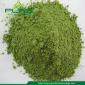 Natural Food Grade Wheat grass powder extract 5:1/10:1