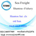 Shantou Port Sea Freight Shipping To Fishery