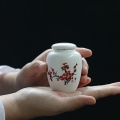 Mini White Ceramic Pet Ashes Urn Cremation Ash Holder Small Animal Pet Parrot Bird Funeral Memorial Casket Burial Urns In Niche