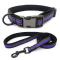 purple collar leash