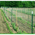 Plastic Farm Trellis Mesh