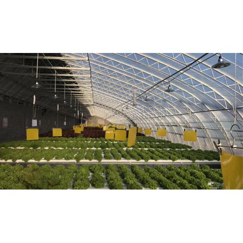 Environmental Nft Hydroponic Pipe For Vegetable Manufacturers and Environmental Nft Hydroponic Pipe For Vegetable Suppliers