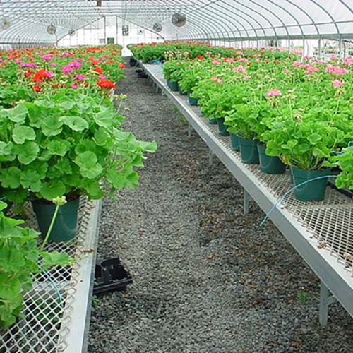 Fixed Top Greenhouse Bench Manufacturers and Fixed Top Greenhouse Bench Suppliers