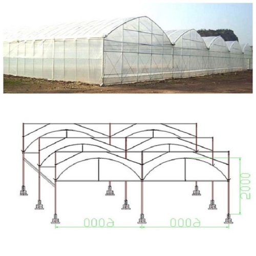 Skyplant Large Multi Span Greenhouse for Agriculture Manufacturers and Skyplant Large Multi Span Greenhouse for Agriculture Suppliers