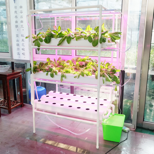 NFT Hydroponic System for home with led Manufacturers and NFT Hydroponic System for home with led Suppliers