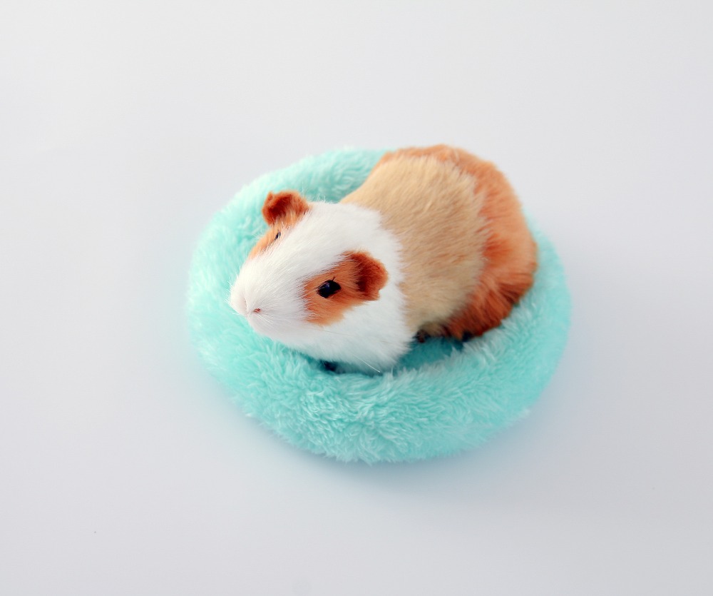 Pet sleeping bed dog Soft Fleece Guinea Pig Bed Winter pet supplies Small Animal Cage Mat Hamster Sleeping Bed 5colors
