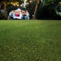 SYNLawn UltraLush  Cut-to-Length Artificial Grass