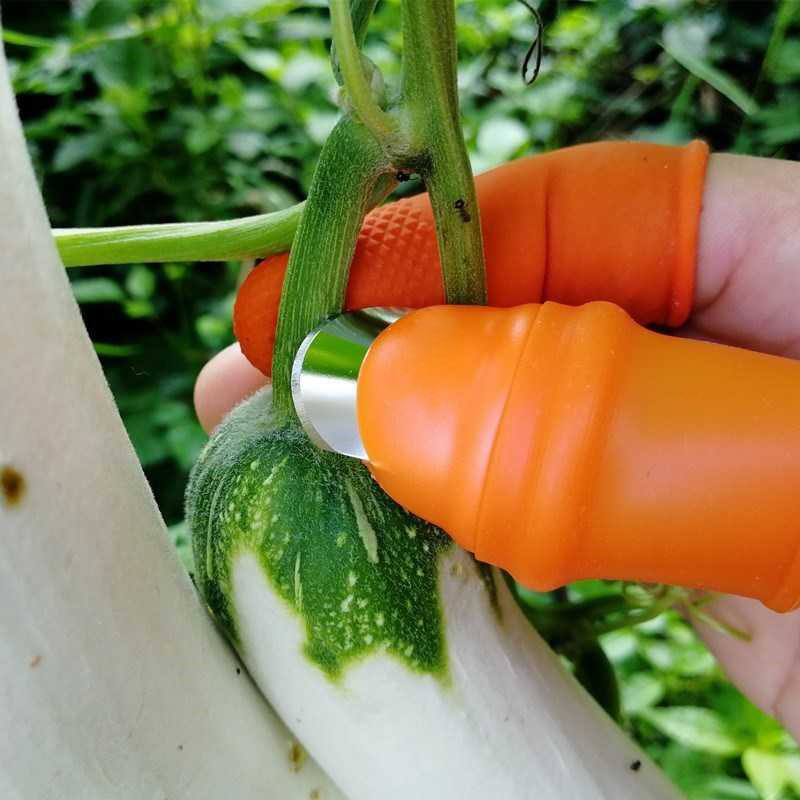 Kitchen Gadgets And Accessories New Hot Thumb Cutter Separator Finger Tools Picking Device for Garden Harvesting Plant SMD66