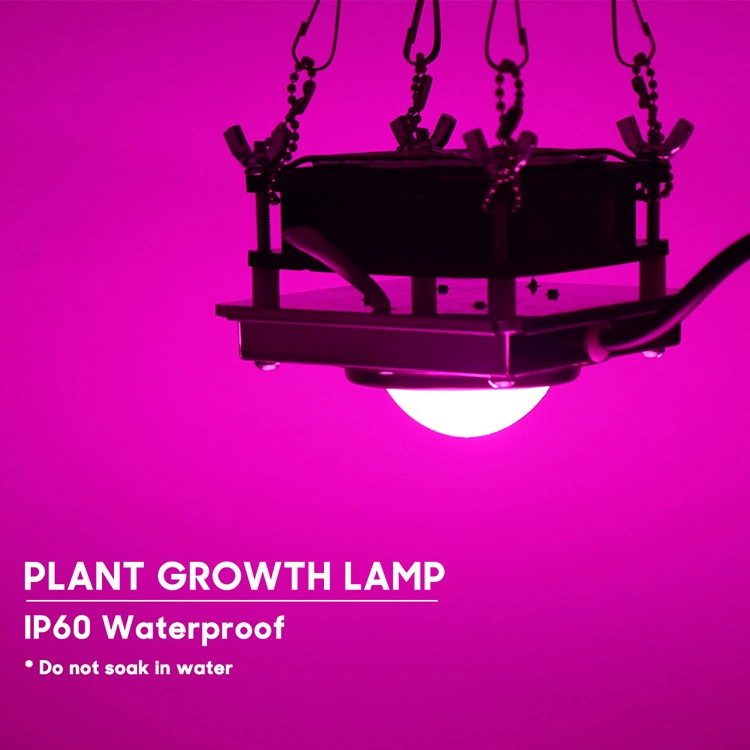 Diy cob grow light for planting greenhouse