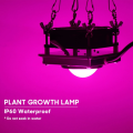 Diy cob grow light for planting greenhouse
