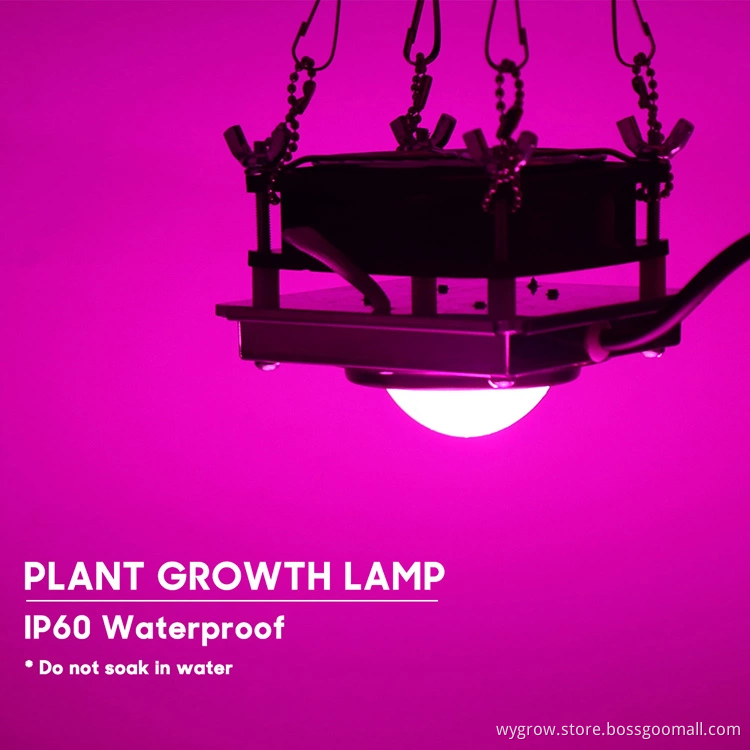 Grow light 200w cob plant light