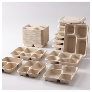 Eco friendly multi-Compartment sugarcane food container