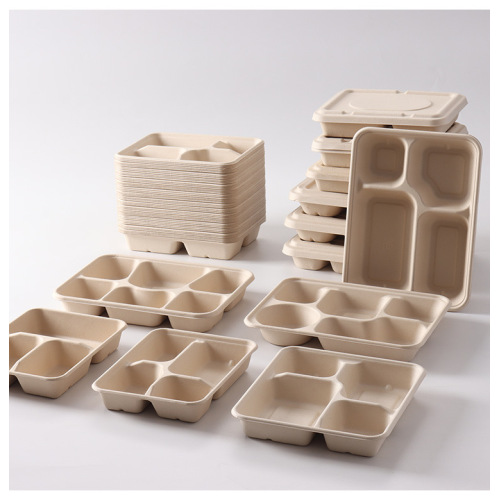 Suppliers for 100% Compostable Sugarcane pulp Lunch Box