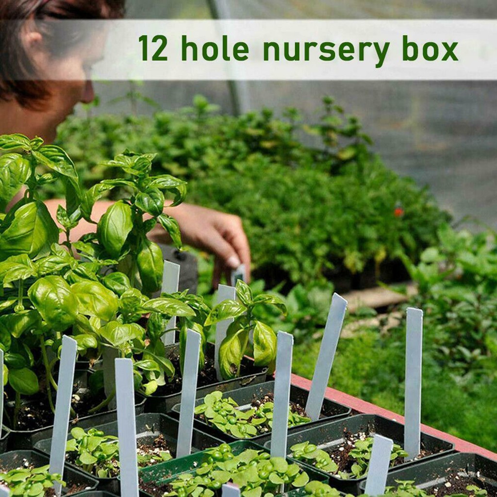 12 Hole Plant Seed Grows Box Nursery Seedling Starter For Planting Germination Box Tray Set With Dome And Base Garden Crop Guard